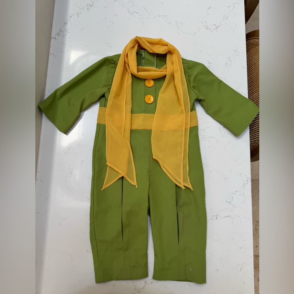 The little prince costume